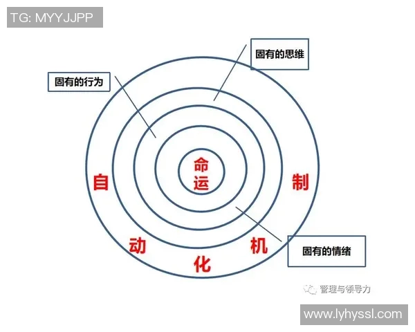 归化人身份的多重维度探讨与社会融合的挑战与机遇