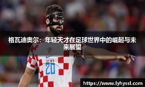 evo视讯手机网页版登录